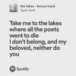 تت بگ Taylor Swift - Image 2